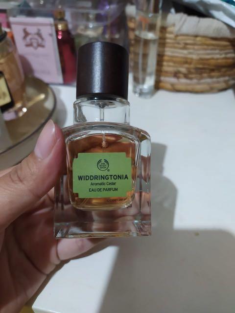 The body shop widdringtonia