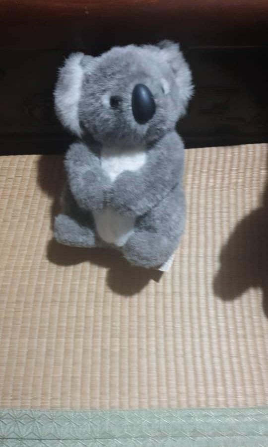 Vintage koala bear stuffed animal top