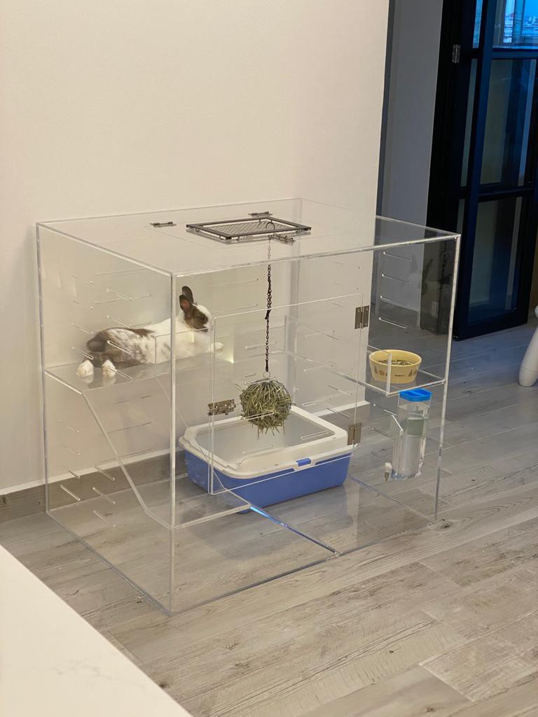 Glass shop rabbit cage