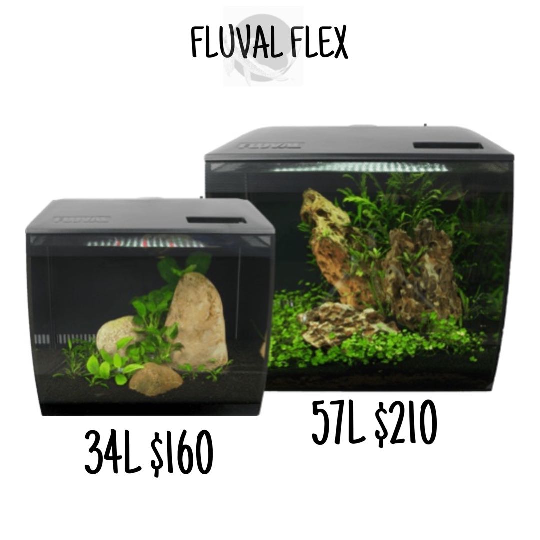 fluval flex 9 gallon stand