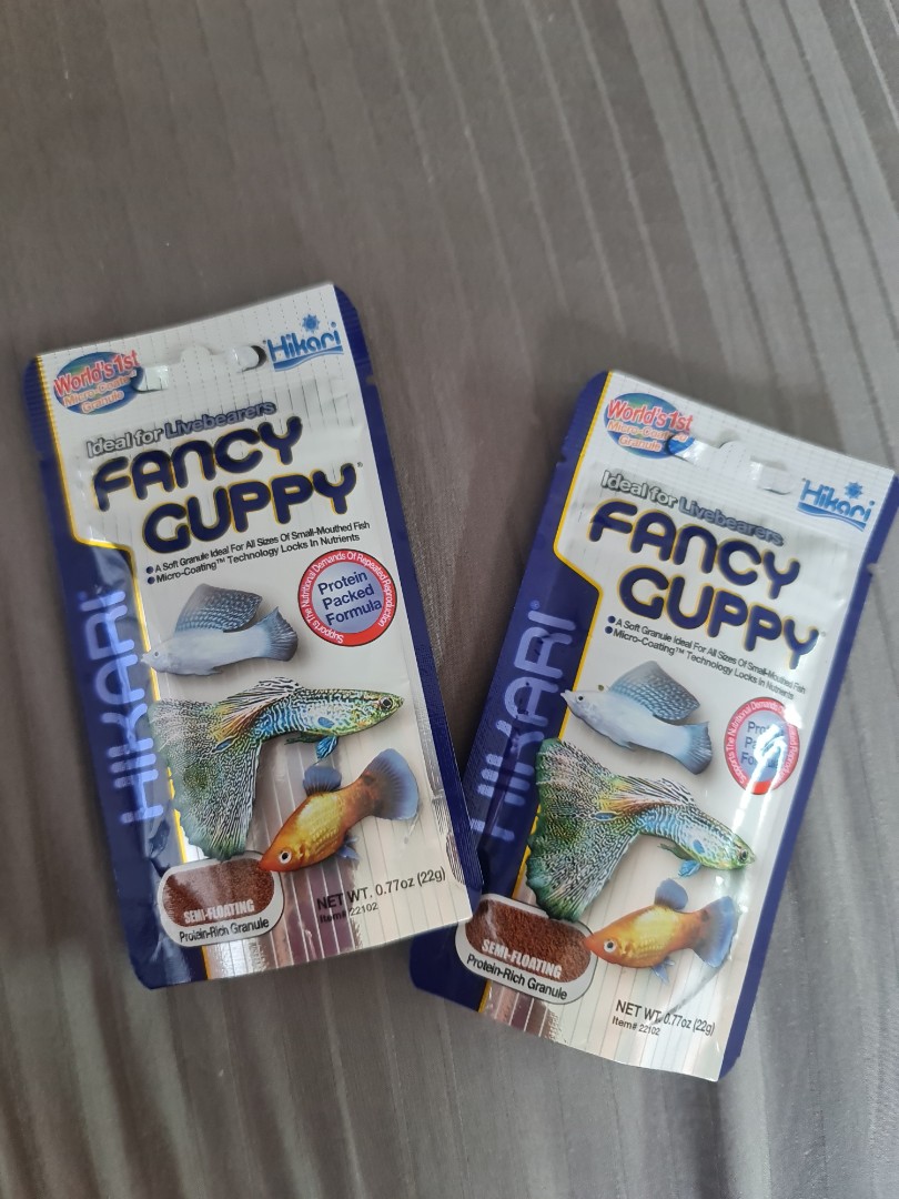 hikari fancy guppy