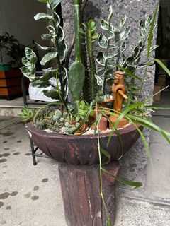 (Category: ) located in . Submitted by lynwags (Listing ID 1091620998, Image 1). Description: .