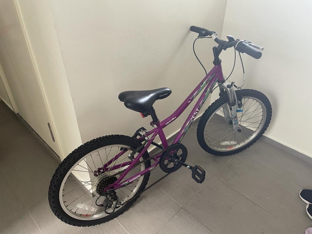 Apollo zest bike purple on sale
