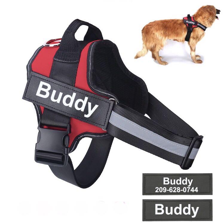 Custom dog collar patches clearance