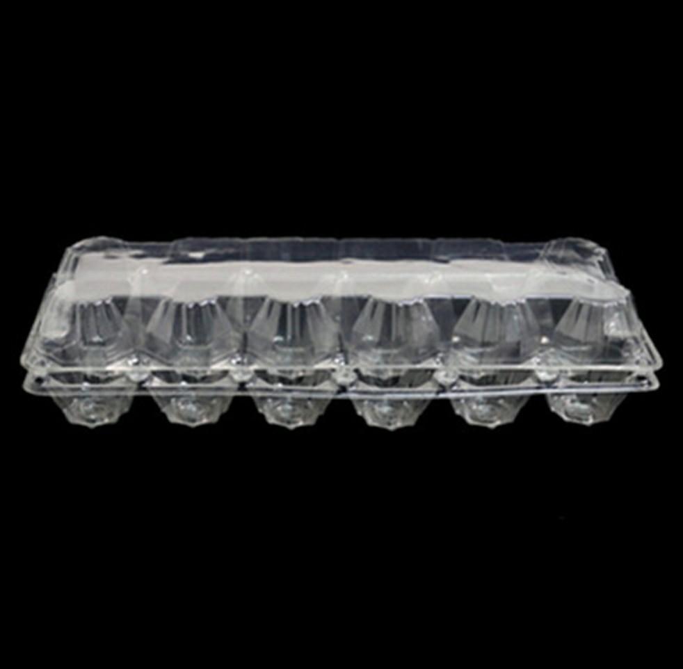 Plastic Egg Tray transparent and Quail Egg Tray CEBU CITY, Furniture