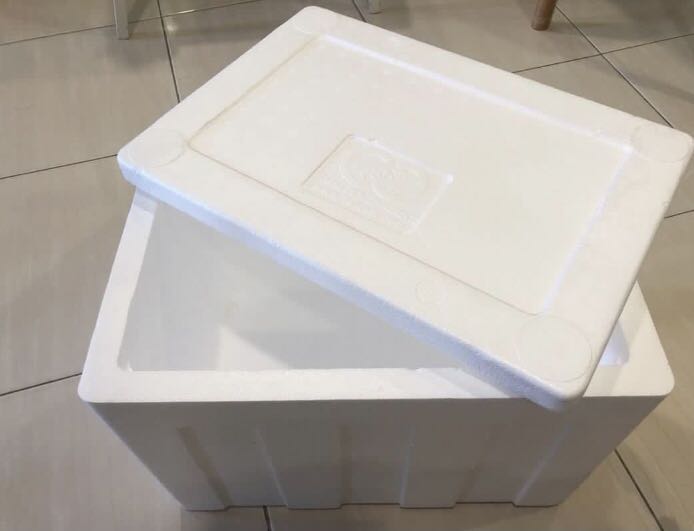 Ice hotsell box polystyrene