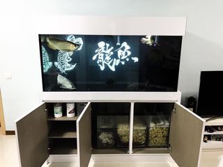 (Category: ) located in . Submitted by fishtankkid (Listing ID 1095596486, Image 1). Description: .