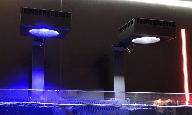 お買物マラソン最大1000円OFFクーポンあり redsea reefLED 50 アーム付き
