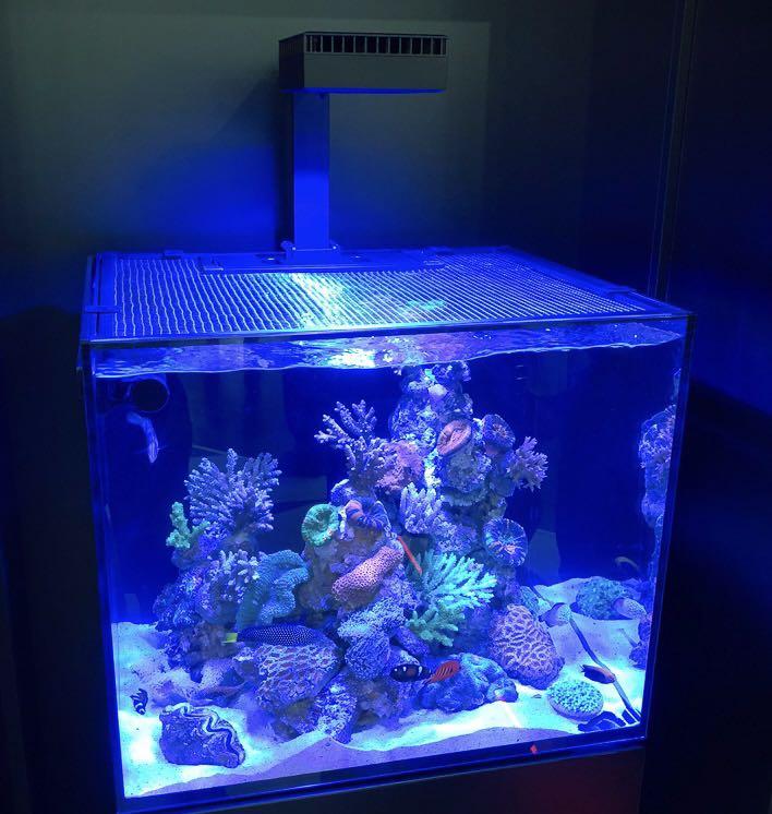 直営限定アウトレット REEF LED50 レッドシー アーム付き 海水水槽