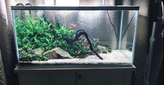 Mini Aquarium Fish Tank Lego Fish Tank Betta Box Feed Desk Home Decor Baby Fish Breed Fish Isolation Box Home Furniture Home Decor On Carousell