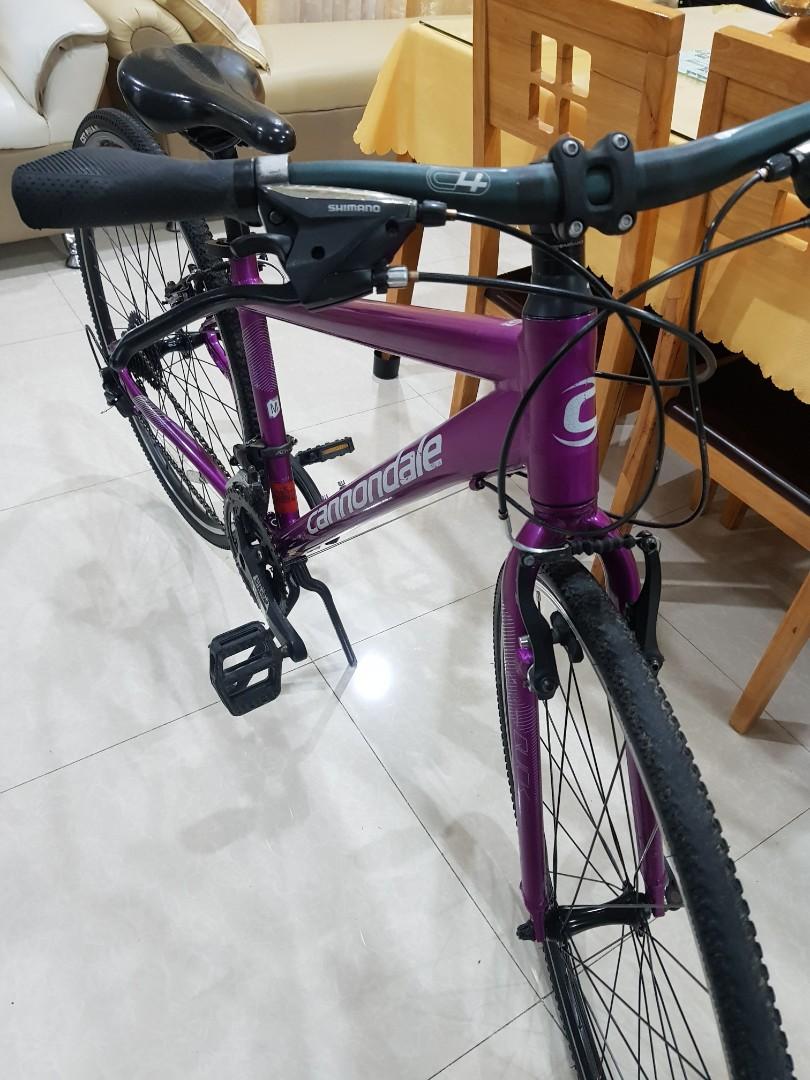 qvc slim cycle bike