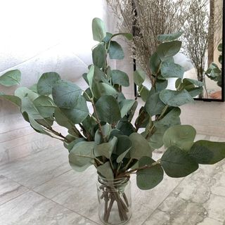 (Category: ) located in . Submitted by wildthing.flowers (Listing ID 1095518685, Image 1). Description: .
