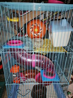 (Category: ) located in . Submitted by lingramirez (Listing ID 1095519071, Image 1). Description: .