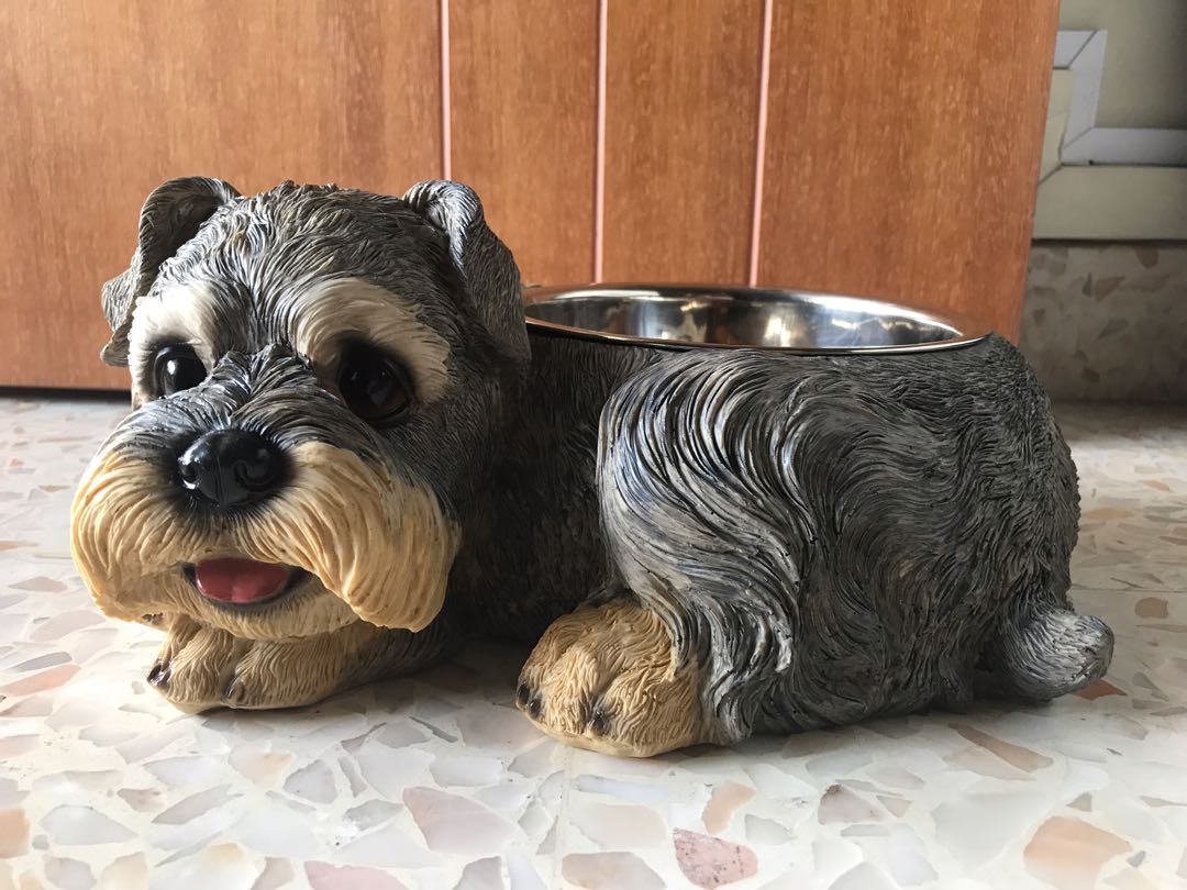Miniature schnauzer bowl, Pet Supplies, Homes & Other Pet Accessories