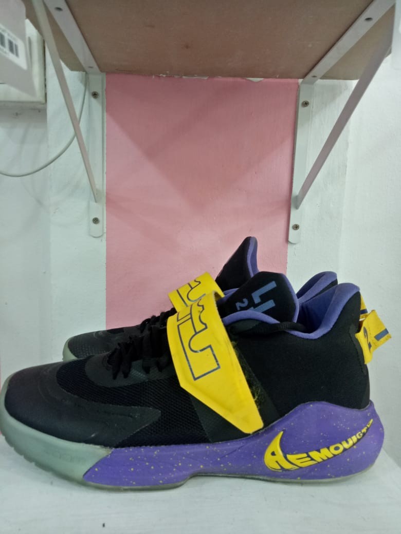 lebron james ambassador 12