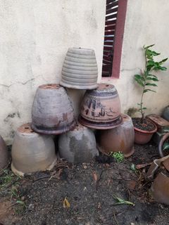 (Category: ) located in . Submitted by zaimahhani (Listing ID 1095559699, Image 1). Description: .