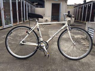 Raleigh Trent Sport bike Raleigh Trent Sport bike