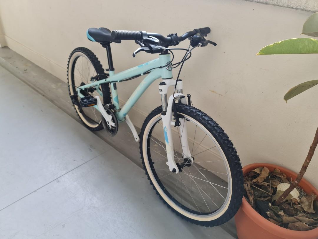 Silverback phoenix clearance mountain bike