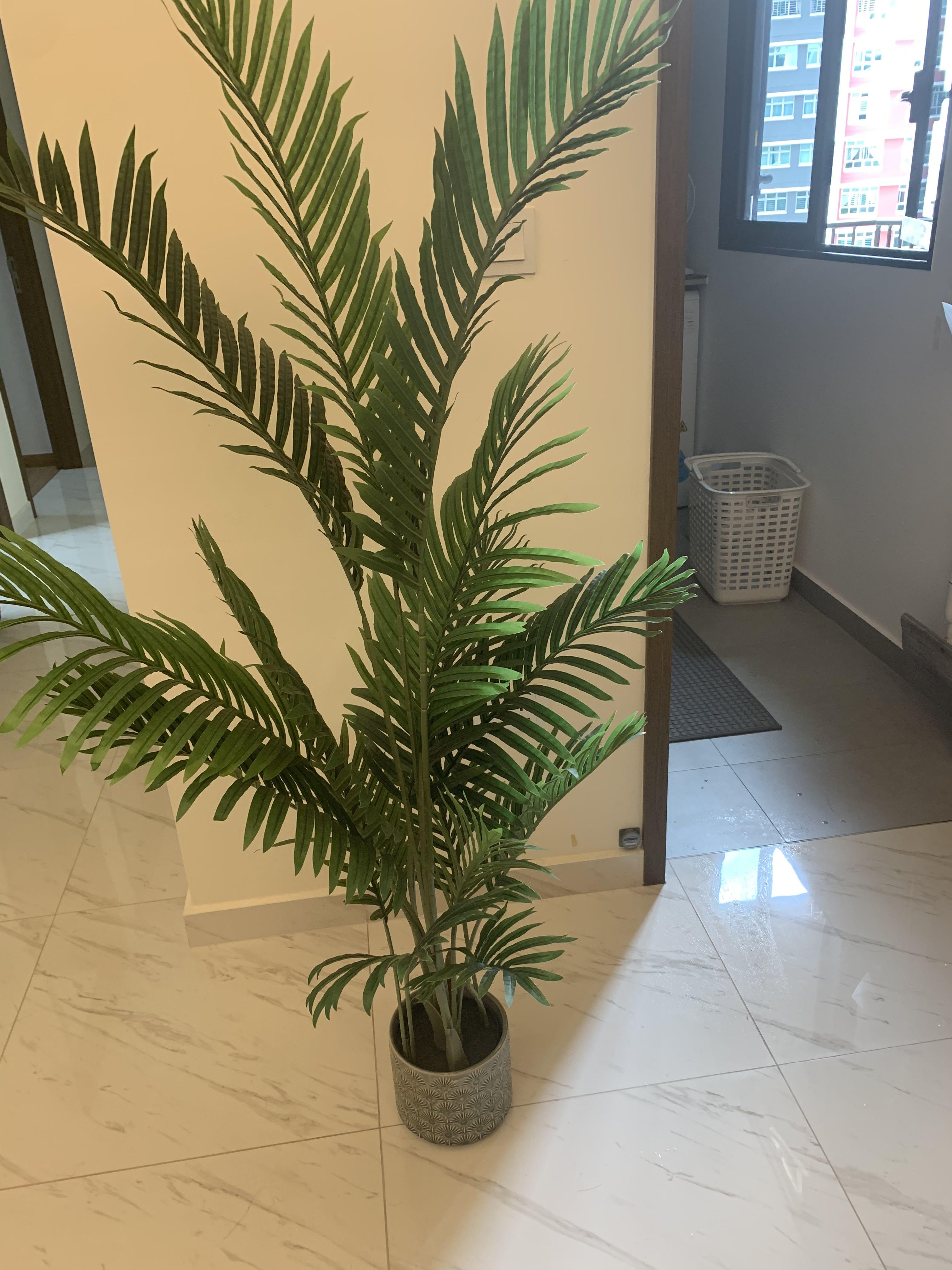 Used artificial plants for sale, Furniture & Home Living, Gardening