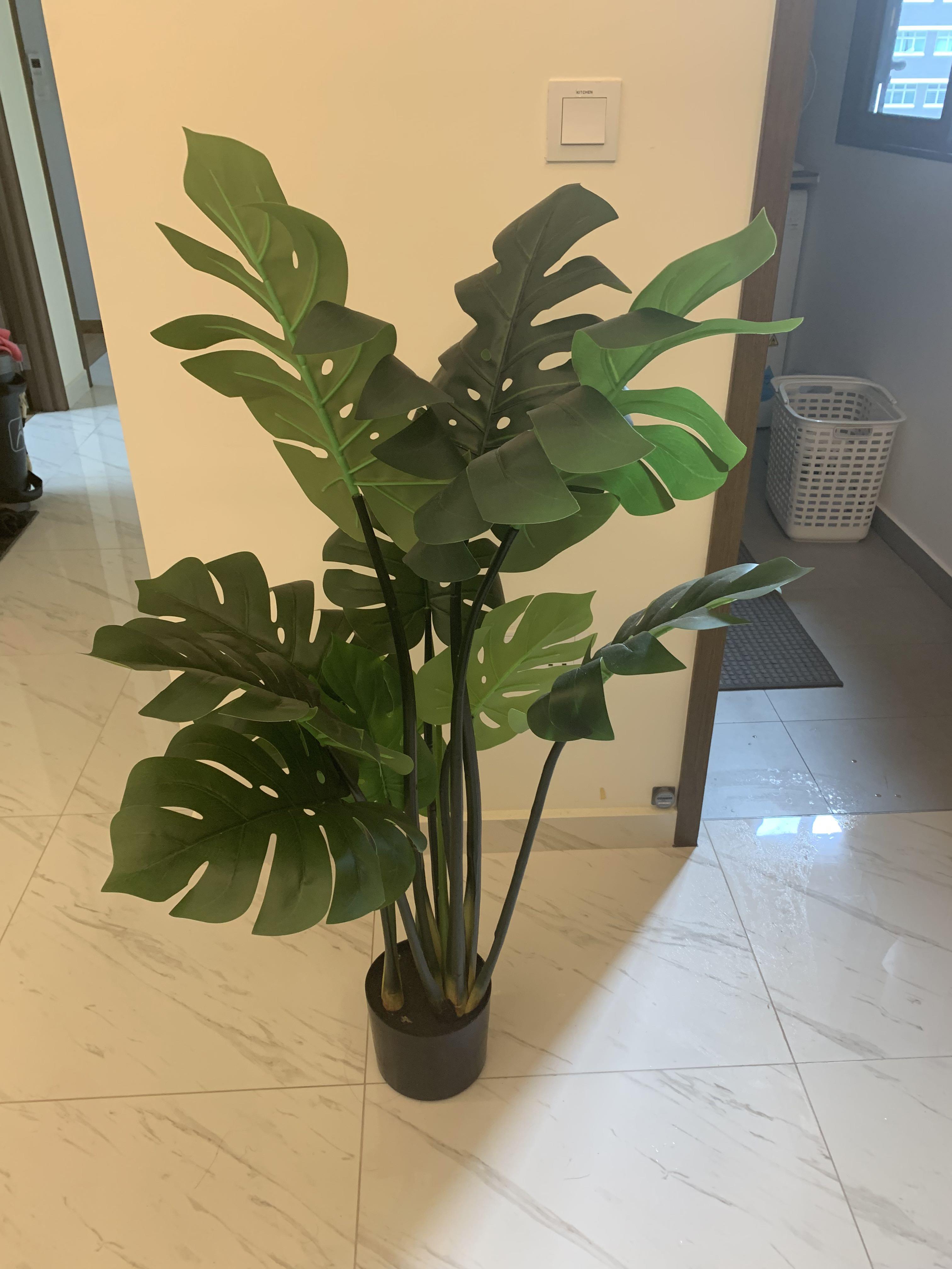 Used artificial plants for sale, Furniture & Home Living, Gardening