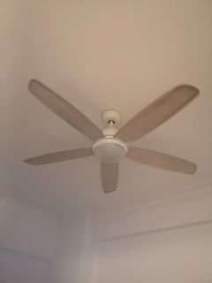 (Category: ) located in . Submitted by echia99 (Listing ID 1095739841, Image 1). Description: .