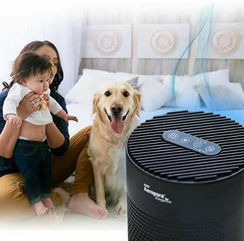 Ansio air hot sale purifier