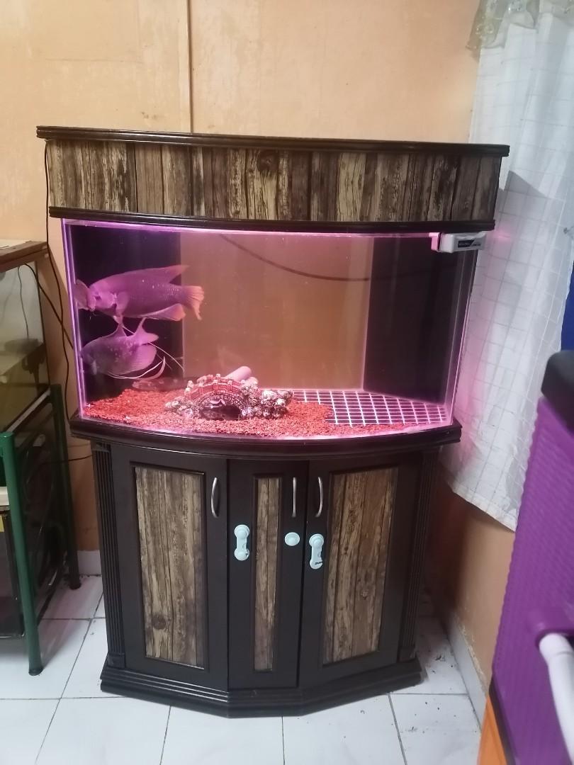Aquarium 3ft Curve Pet Supplies Pet Accessories On Carousell