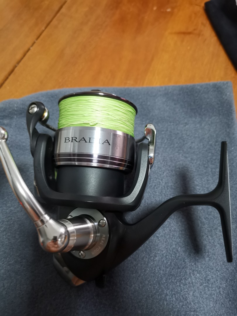 Daiwa bradia 3000, Sports Equipment, Fishing on Carousell