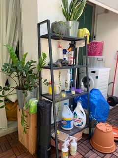 (Category: ) located in . Submitted by sunseeker101 (Listing ID 1095671046, Image 1). Description: .