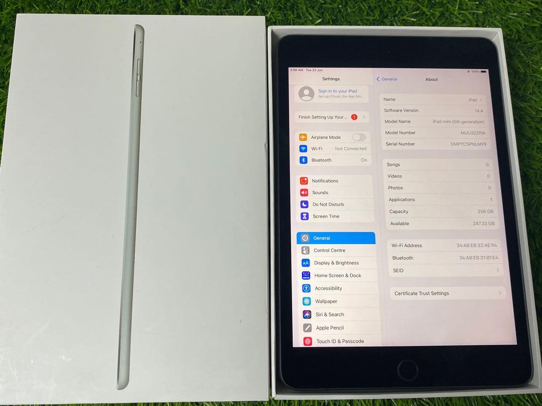 iPad Mini 5 256Gb Wifi ( Malaysia Set )