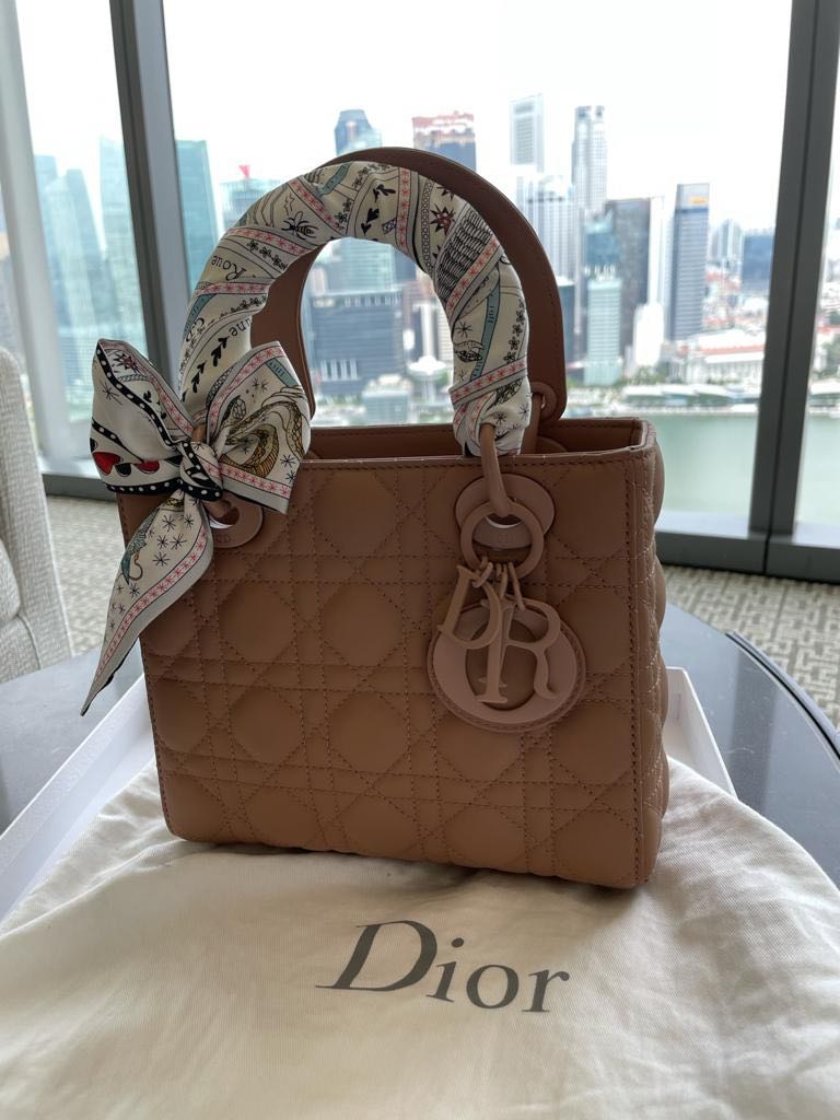 nude dior bag