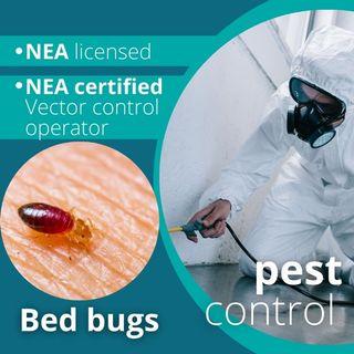 Pest control bed bug booklice ticks mosquito cockroach infestation fumigation