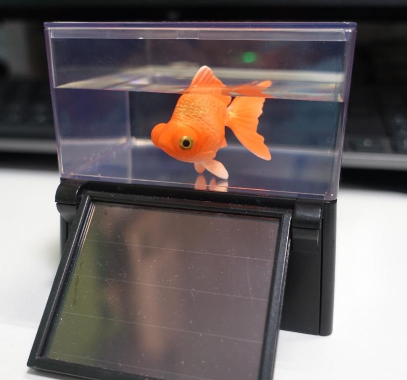 Takara Tomy 不需要電池的太陽能 光能可動金魚 出目金 傢俬 家居 其他 家居改善及收納用品 Carousell