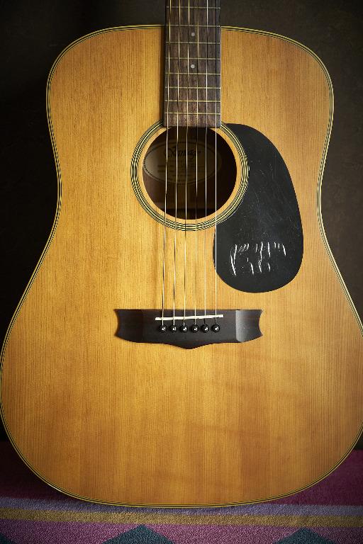 Vantage Acoustic Guitar, Hobbies & Toys, Music & Media, Musical ...