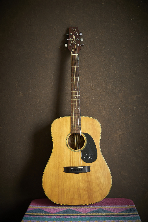 Vantage Acoustic Guitar, Hobbies & Toys, Music & Media, Musical ...