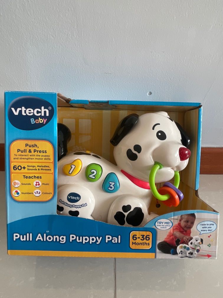 VTech Pull Along Puppy Pal Babies Kids Infant Playtime on