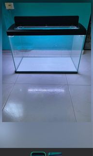 (Category: ) located in . Submitted by geetha9311 (Listing ID 1095871139, Image 1). Description: .