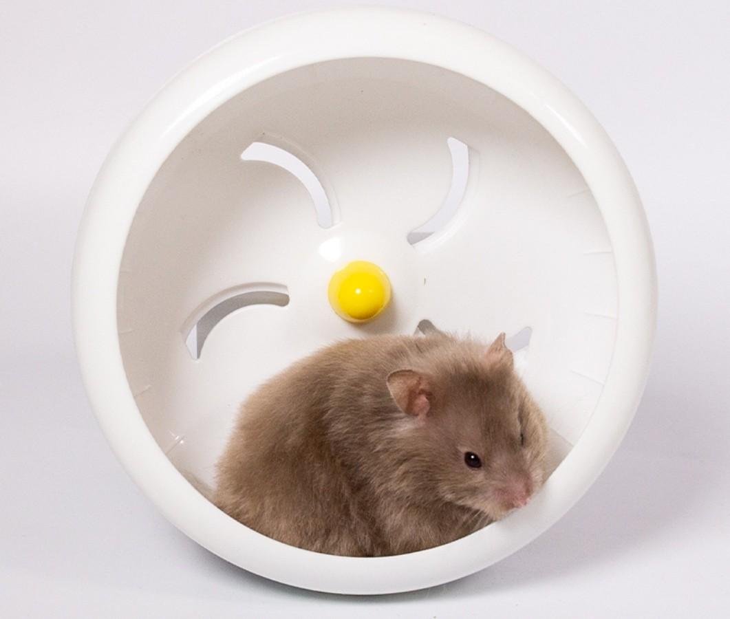 Ufo hamster wheel top