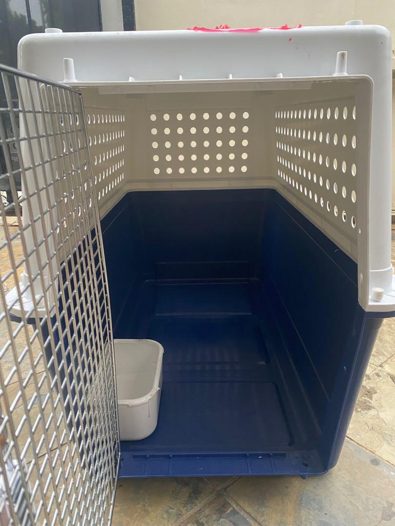 IATA approved Pp70 large dog crate, Pet Supplies, Homes & Other Pet Accessories on Carousell
