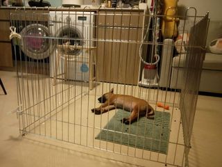 (Category: ) located in . Submitted by auntyginger (Listing ID 1095874895, Image 1). Description: .
