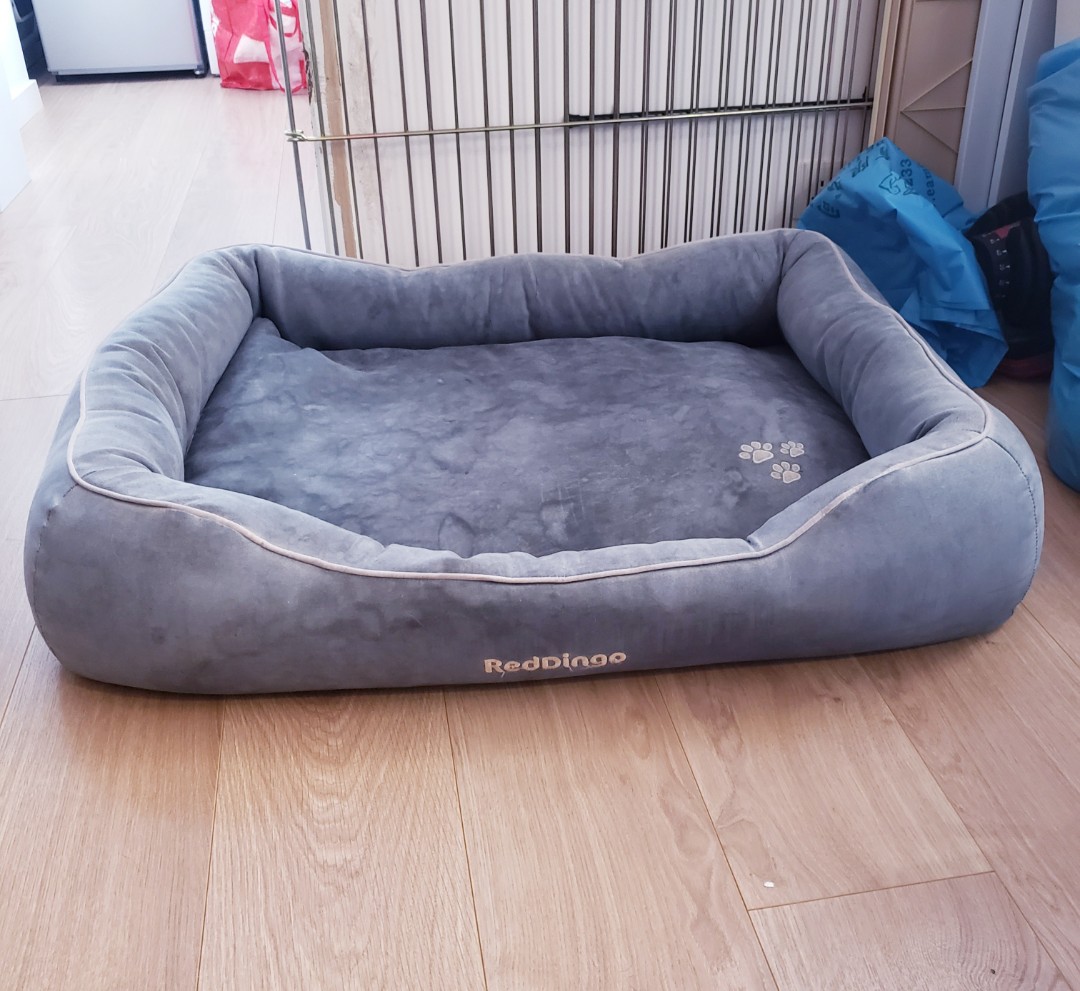 red dingo bed