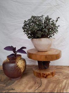 Wooden Rustic Plant Stand