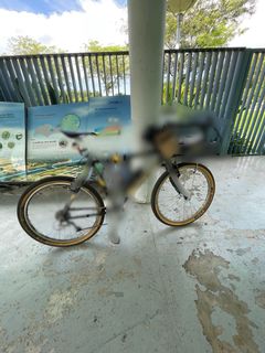 (Category: ) located in . Submitted by fatboyaffan (Listing ID 1096237675, Image 1). Description: .