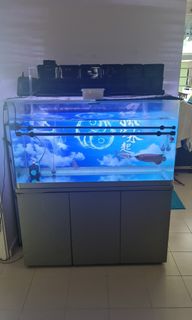 (Category: ) located in . Submitted by anonymous_goalkeeper (Listing ID 1096257625, Image 1). Description: .