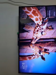(Category: ) located in . Submitted by trivialsection (Listing ID 1096084444, Image 1). Description: .