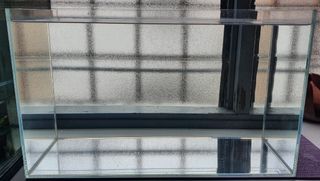 (Category: ) located in . Submitted by leslie92 (Listing ID 1096213124, Image 1). Description: .