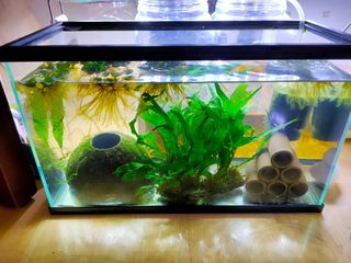 (Category: ) located in . Submitted by dr4conous (Listing ID 1096169693, Image 1). Description: .