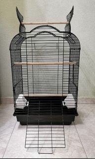 (Category: ) located in . Submitted by petdreams (Listing ID 1096123940, Image 1). Description: .