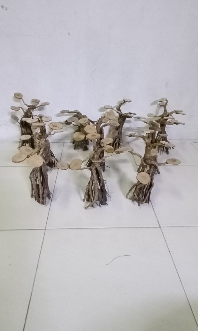 bonsai aquascape handscape, Pet Supplies, Health & Grooming on Carousell