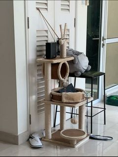 (Category: ) located in . Submitted by ltash (Listing ID 1096099678, Image 1). Description: .